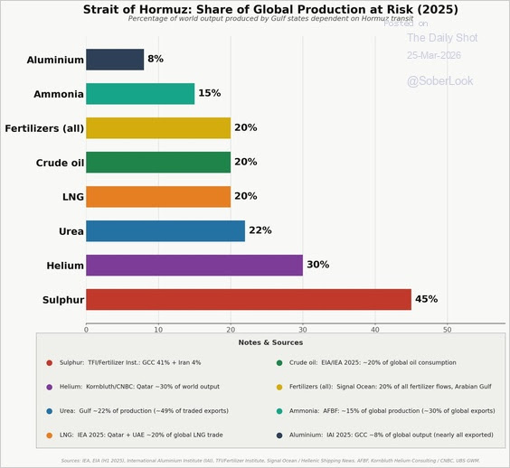 Strait of Hormuz: Share of Global Production at Risk (2025) - showing percentage of world output produced by Gulf states dependent on Hormuz transit for Sulphur (45%), Helium (30%), Urea (22%), LNG (20%), Crude oil (20%), Fertilizers (20%), Ammonia (15%), and Aluminium (8%)